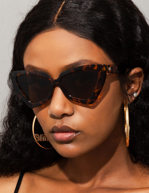 Fashion Leopard Triangle Cat Eye Rice Stud Sunglasses