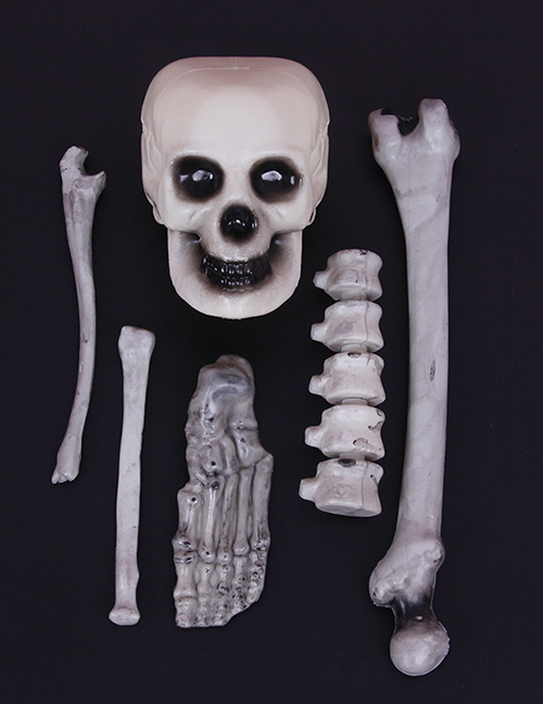 Fashion Skull Six-piece Set Halloween Skull Skeleton Decoration