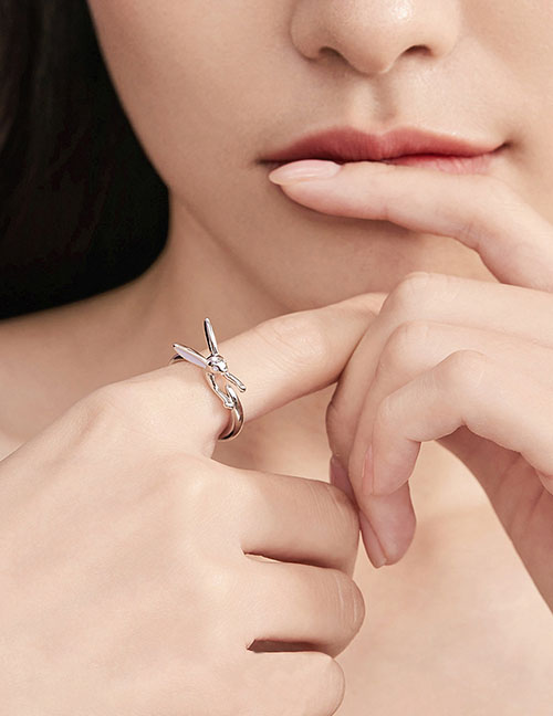 Fashion Ring - Silver Rabbit Geometric Split Ring