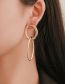 Fashion Rose Gold Metal Geometric Oval Stud Earrings