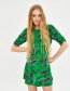 Fashion Green Cashew Pattern Decorated Round Neckline Dress