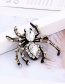 Fashion Gold Color Spider Shape Decorated Patch