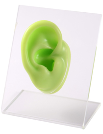 Fashion Green Right Ear Silicone Ear Display Model